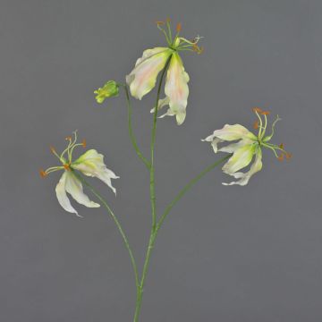 Gloriosa artificial TIANA, rosa-verde, 80cm, Ø8-15cm