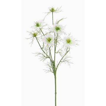 Comino negro artificial SEVIN, blanco-verde, 65cm, Ø6-7cm Comino negro artificial SEVIN, blanco-verde, 65cm, Ø6-7cm