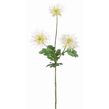 Crisantemo sintético SOLVIE, crema, 70cm, Ø10cm Crisantemo sintético SOLVIE, crema, 70cm, Ø10cm