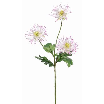 Crisantemo sintético SOLVIE, blanco-rosa, 75cm, Ø11-12cm Crisantemo sintético SOLVIE, blanco-rosa, 75cm, Ø11-12cm