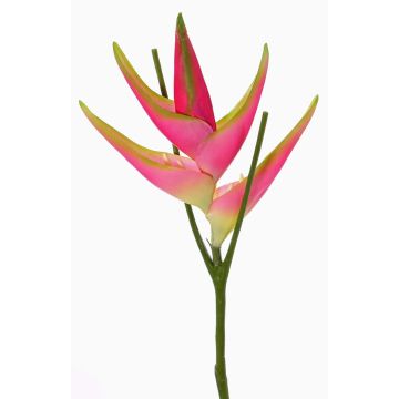 Flor heliconia artificial TOMKE, rosa-verde, 80cm, Ø30cm Flor heliconia artificial TOMKE, rosa-verde, 80cm, Ø30cm