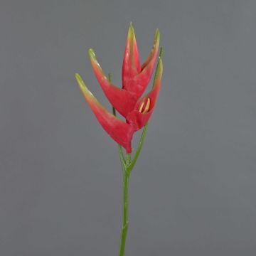 Flor heliconia artificial TOMKE, rojo-verde, 80cm, Ø30cm