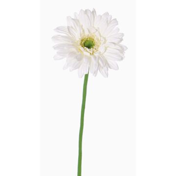 Gerbera textil HELLI, crema, 65cm, Ø12cm