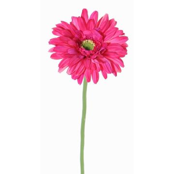Gerbera artificial HELLI, fucsia, 65cm, Ø12cm Gerbera artificial HELLI, fucsia, 65cm, Ø12cm