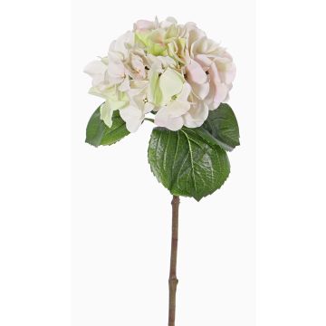 Hortensia de plástico CHIDORI, rosa crema, 60cm, Ø20cm Hortensia de plástico CHIDORI, rosa crema, 60cm, Ø20cm