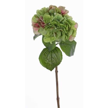 Hortensia de plástico CHIDORI, verde-rosa, 60cm, Ø20cm Hortensia de plástico CHIDORI, verde-rosa, 60cm, Ø20cm