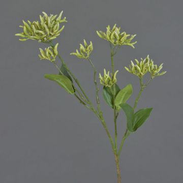 Rama de cornejo artificial JOSIA con cogollos, blanco-verde, 50cm