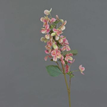 Hortensia artificial Paniculata CHADORA, rosa-verde, 75cm, Ø15cm