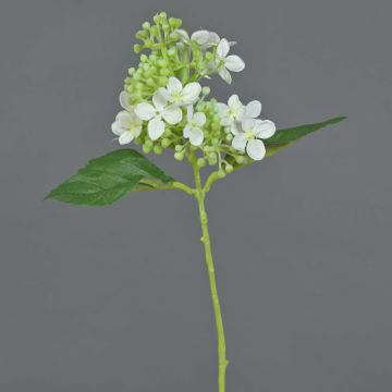 Hortensia sintética CHABY, blanco-verde, 30cm, Ø9cm