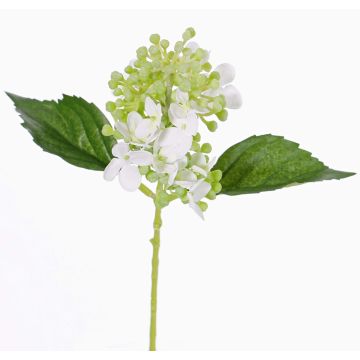 Hortensia sintética CHABY, blanco-verde, 30cm, Ø9cm