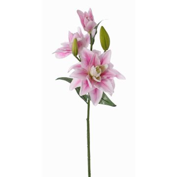 Lirio flor artificial ISALIE, rosa-blanco, 80cm, Ø13-16cm Lirio flor artificial ISALIE, rosa-blanco, 80cm, Ø13-16cm