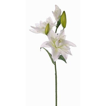 Lirio flor artificial ISALIE, blanco-verde, 80cm, Ø13-16cm Lirio flor artificial ISALIE, blanco-verde, 80cm, Ø13-16cm