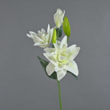 Lirio flor artificial ISALIE, blanco-verde, 80cm, Ø15cm