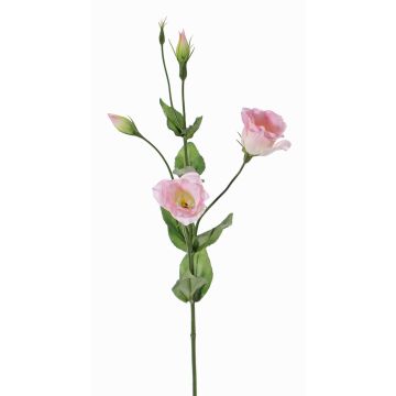 Lisianthus artificial JUDIKA rosa, rosa-blanco-verde, 70cm, Ø6-7cm Lisianthus artificial JUDIKA rosa, rosa-blanco-verde, 70cm, Ø6-7cm