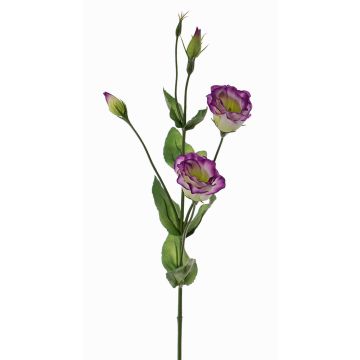 Lisianthus artificial JUDIKA violeta-verde, violeta-blanco-verde, 70cm, Ø6-7cm Lisianthus artificial JUDIKA violeta-verde, violeta-blanco-verde, 70cm, Ø6-7cm