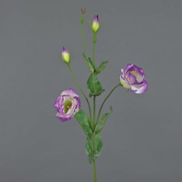 Lisianthus artificial JUDIKA violeta-verde, 70cm, Ø5cm