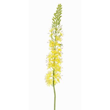 Eremurus de plástico SELINA, amarilla-naranja, 105cm, Ø9cm