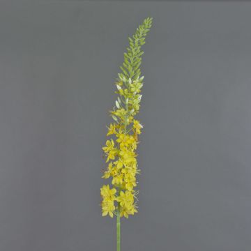 Eremurus de plástico SELINA, amarilla, 105cm, Ø9cm Eremurus de plástico SELINA, amarilla, 105cm, Ø9cm