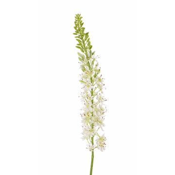 Eremurus de plástico SELINA, blanca, 105cm, Ø9cm Eremurus de plástico SELINA, blanca, 105cm, Ø9cm