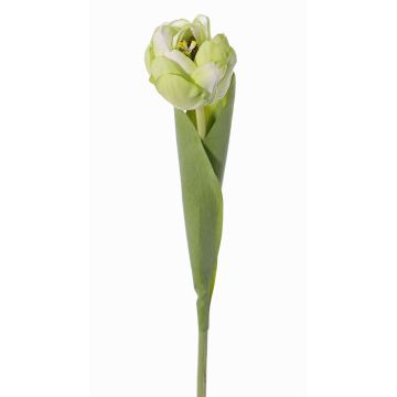 Tulipán artificial ROMANA, verde claro, 45cm, Ø6cm