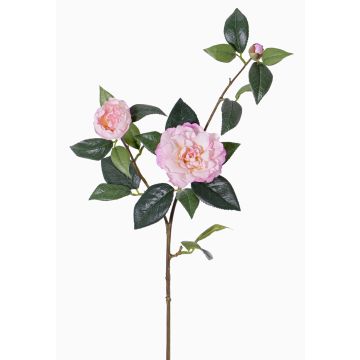 Rama de camelias textiles RIXA con flores, rosa, 85cm, Ø5-10cm Rama de camelias textiles RIXA con flores, rosa, 85cm, Ø5-10cm