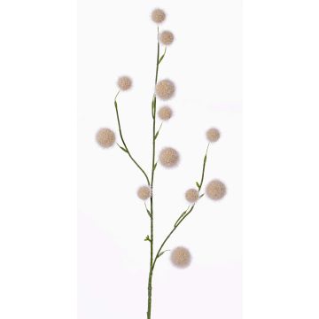Ajo ornamental sintético EMRAH, crema, 80cm, Ø3-4,5cm Ajo ornamental sintético EMRAH, crema, 80cm, Ø3-4,5cm
