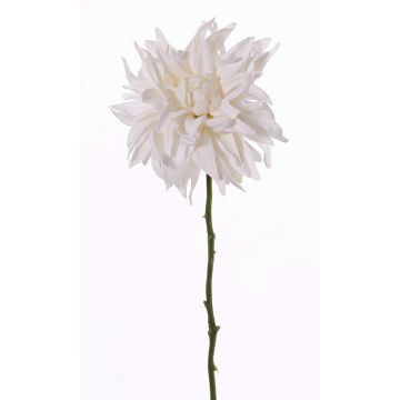 Dalia sintética SMILA, crema, 55cm, Ø12cm Dalia sintética SMILA, crema, 55cm, Ø12cm