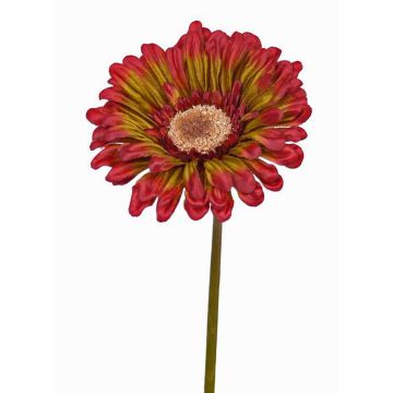 Gerbera artificial ANNEMARIE, rojo-verde, 50cm, Ø10cm Gerbera artificial ANNEMARIE, rojo-verde, 50cm, Ø10cm