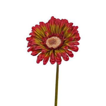 Gerbera artificial ANNEMARIE, rojo-verde, 50cm, Ø10cm