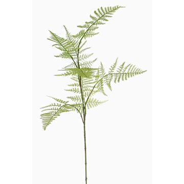 Rama de esparraguera plumoso artificial HAYDON, verde, 85cm Rama de esparraguera plumoso artificial HAYDON, verde, 85cm