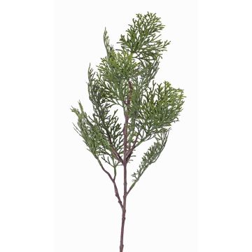 Rama artificial de ciprés FROWIN, verde, 60cm Rama artificial de ciprés FROWIN, verde, 60cm