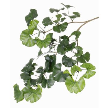 Rama de Ginkgo artificial HILGER, difícilmente inflamable, 70cm Rama de Ginkgo artificial HILGER, difícilmente inflamable, 70cm