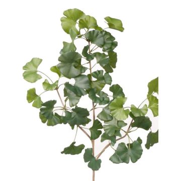 Rama de Ginkgo artificial HILGER, difícilmente inflamable, 70cm