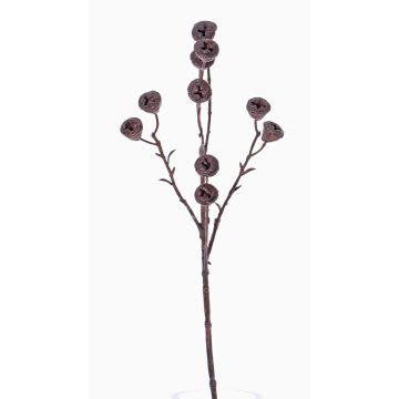 Rama de eucalipto artificial BASILIUS con frutas, marrón, 60cm Rama de eucalipto artificial BASILIUS con frutas, marrón, 60cm