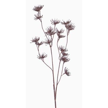 Flor de zanahoria silvestre artificial DORIAN, marrón, 65cm, Ø4cm