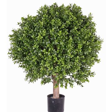 Árbol de boj artificial TOM, tronco natural, zona protegida, 65cm, Ø50cm Árbol de boj artificial TOM, tronco natural, zona protegida, 65cm, Ø50cm