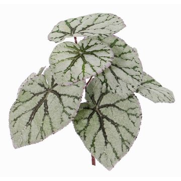Hojas de begonia rex artificial KATRICE en palo, verde-gris, 25cm Hojas de begonia rex artificial KATRICE en palo, verde-gris, 25cm