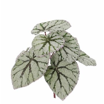 Hojas de begonia rex artificial KATRICE en palo, verde-gris, 25cm