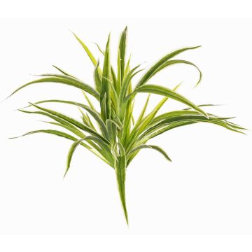 Cintas artificial TASNIN en barra, verde-blanco, 35cm, Ø40cm Cintas artificial TASNIN en barra, verde-blanco, 35cm, Ø40cm