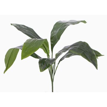 Palma Aspidistra artificial VASCO en vara de fijación, 55cm Palma Aspidistra artificial VASCO en vara de fijación, 55cm