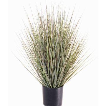 Pasto varilla artificial ZAYN, verde-gris, 60cm Pasto varilla artificial ZAYN, verde-gris, 60cm