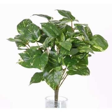 Pothos artificial NAEL, con palo, difícilmente inflamable, verde-blanco, 50cm Pothos artificial NAEL, con palo, difícilmente inflamable, verde-blanco, 50cm