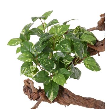 Pothos artificial NAEL, con palo, difícilmente inflamable, verde-blanco, 50cm
