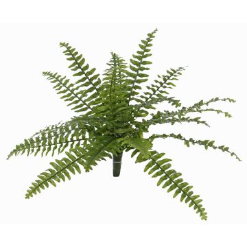 Helecho Boston artificial SASCHA en vara de fijación, zona protegida, verde, 25cm, Ø50cm