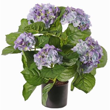 Hortensia flor artificial TEMARI, violeta, 40cm, Ø10-12cm Hortensia flor artificial TEMARI, violeta, 40cm, Ø10-12cm