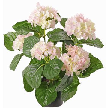 Hortensia flor artificial TEMARI, blanco-rosa, 40cm, Ø10-12cm Hortensia flor artificial TEMARI, blanco-rosa, 40cm, Ø10-12cm