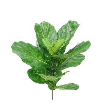 Ficus Lyrata artificial EZRA con vara de fijación, zona protegida, verde, 75cm