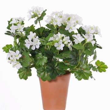 Geranio artificial BERENIKE con vara de fijación, zona protegida, blanco, 40cm, Ø5-8cm Geranio artificial BERENIKE con vara de fijación, zona protegida, blanco, 40cm, Ø5-8cm