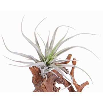 Tillandsia Stricta artificial ADELE sobre palo, verde-gris, 25cm, Ø20cm Tillandsia Stricta artificial ADELE sobre palo, verde-gris, 25cm, Ø20cm