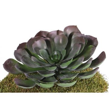 Aeonium artificial BARBARA en bastón, rojo-verde, 15cm, Ø25cm